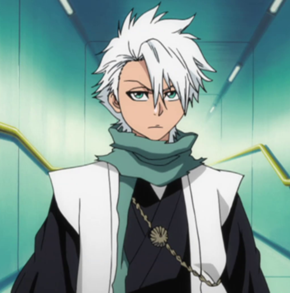 http://static.tvtropes.org/pmwiki/pub/images/290px-Episode_363_Hitsugaya_1_6387.png