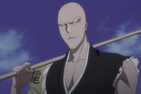 http://static.tvtropes.org/pmwiki/pub/images/290px-Episode_363_Ikkaku_5904.png