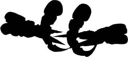 http://static.tvtropes.org/pmwiki/pub/images/3463eb548c7e809aeffd6527e95c3745.png