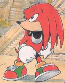 http://static.tvtropes.org/pmwiki/pub/images/Knuckles_65_1655.jpg