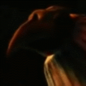 http://static.tvtropes.org/pmwiki/pub/images/absolutionistavatar5542_Custom_1477.gif