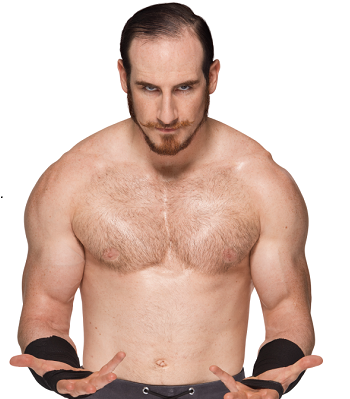 http://static.tvtropes.org/pmwiki/pub/images/aiden_english.png