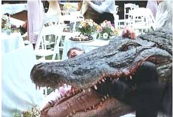 never smile at a crocodile tv tropes crocodile vs alligator size