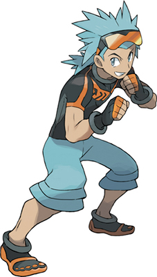 http://static.tvtropes.org/pmwiki/pub/images/brawly-oras_316.jpg