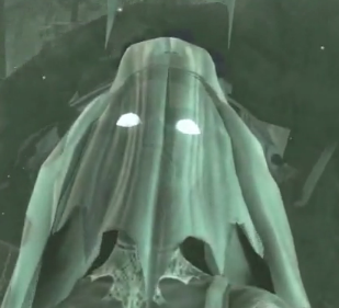 http://static.tvtropes.org/pmwiki/pub/images/bride_head_7555.png