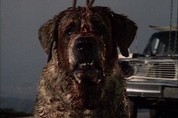 http://static.tvtropes.org/pmwiki/pub/images/cujo2.jpg