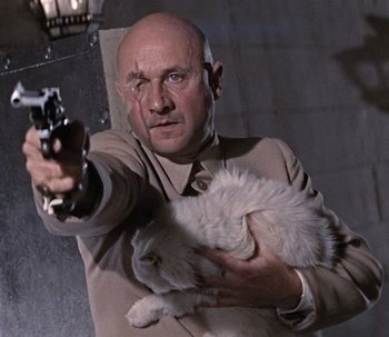 http://static.tvtropes.org/pmwiki/pub/images/donald_pleasence_as_blofeld.jpg
