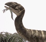 http://static.tvtropes.org/pmwiki/pub/images/ed67656ecd4b574bd7cc060b21a08635.jpg