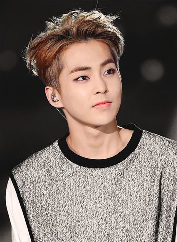http://static.tvtropes.org/pmwiki/pub/images/exos_xiumin.jpg
