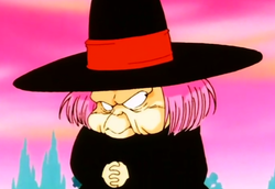 http://static.tvtropes.org/pmwiki/pub/images/fortuneteller_baba_5950.png
