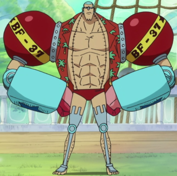 http://static.tvtropes.org/pmwiki/pub/images/franky_anime_post_timeskip_infobox.png