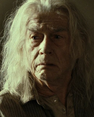 http://static.tvtropes.org/pmwiki/pub/images/garrick_ollivander.png