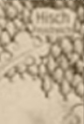 http://static.tvtropes.org/pmwiki/pub/images/hish_9441.jpg
