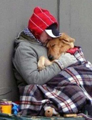 http://static.tvtropes.org/pmwiki/pub/images/homeless_dog_2_4984.png