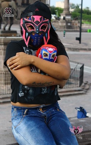 http://static.tvtropes.org/pmwiki/pub/images/ladypinkllf.jpg