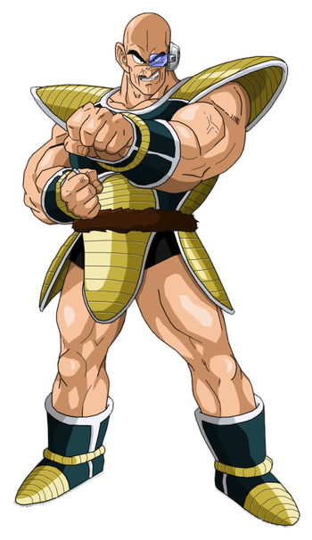 http://static.tvtropes.org/pmwiki/pub/images/nappa_hd.jpg