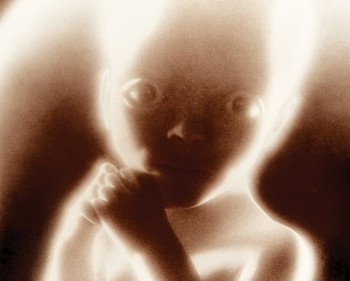 http://static.tvtropes.org/pmwiki/pub/images/nightmare_2001_3184.jpg