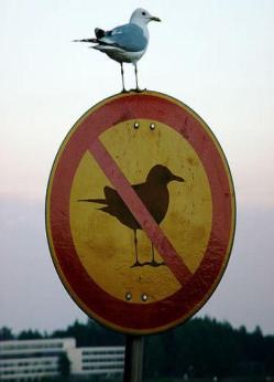 http://static.tvtropes.org/pmwiki/pub/images/readthesignResized__3149.jpg