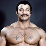 http://static.tvtropes.org/pmwiki/pub/images/rockyjohnsonwwe_4379.jpg