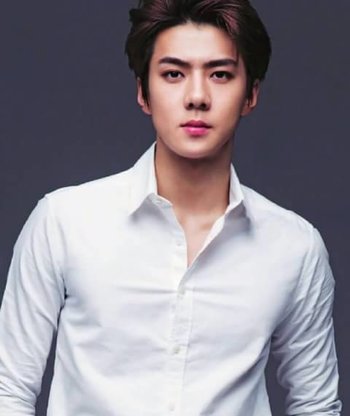 http://static.tvtropes.org/pmwiki/pub/images/sehun_ray_mag.jpg