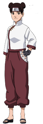 http://static.tvtropes.org/pmwiki/pub/images/tentenshippuuden.png