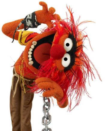 http://static.tvtropes.org/pmwiki/pub/images/the-muppets-animal_4598.jpg