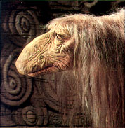http://static.tvtropes.org/pmwiki/pub/images/uryod_the_numerologist_552.jpg