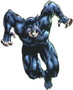 http://static.tvtropes.org/pmwiki/pub/images/wildcat_794.jpg