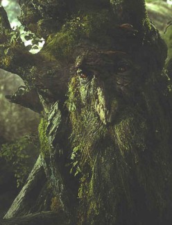 https://static.tvtropes.org/pmwiki/pub/images/248px-Treebeard_6197.jpg