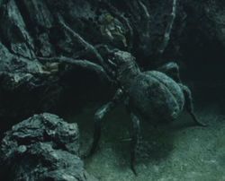 https://static.tvtropes.org/pmwiki/pub/images/4755481_std_7240.jpg