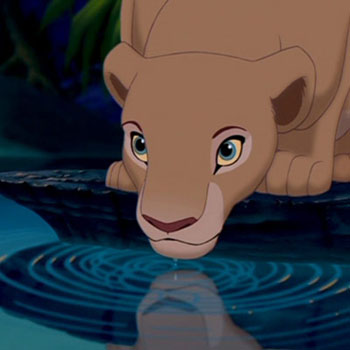 https://static.tvtropes.org/pmwiki/pub/images/Nala_drinking_water_3849.jpg