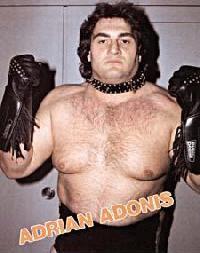 https://static.tvtropes.org/pmwiki/pub/images/adrian_adonis.jpg