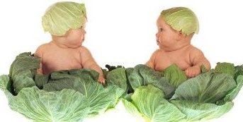 https://static.tvtropes.org/pmwiki/pub/images/anne-geddes-cabbage-kids_5689.jpg