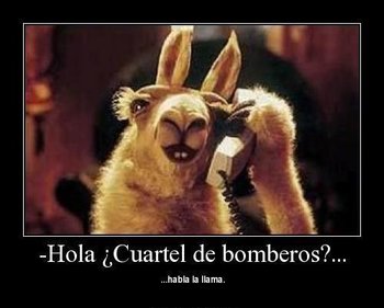 https://static.tvtropes.org/pmwiki/pub/images/babfb89c57d56235f9171f19fcc11a73_llama_llama_llamas.jpg