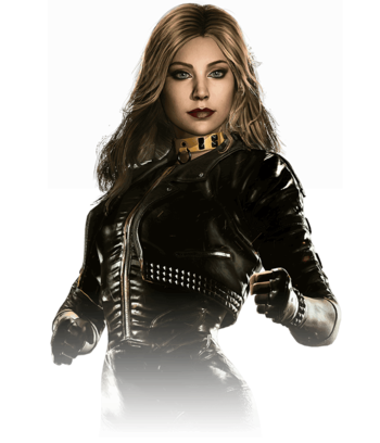 https://static.tvtropes.org/pmwiki/pub/images/black_canary_8.png