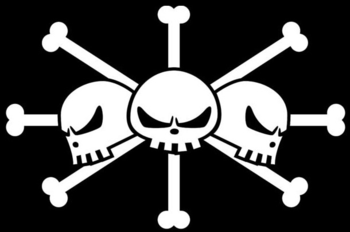 https://static.tvtropes.org/pmwiki/pub/images/blackbeard_pirates_jolly_roger.png