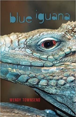 https://static.tvtropes.org/pmwiki/pub/images/blue_iguana.jpg