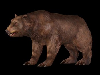 https://static.tvtropes.org/pmwiki/pub/images/carnivores_bear.jpg