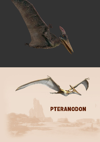 https://static.tvtropes.org/pmwiki/pub/images/carnivores_pteranodon.png