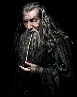 https://static.tvtropes.org/pmwiki/pub/images/company_gandalf.jpg