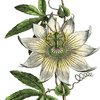 https://static.tvtropes.org/pmwiki/pub/images/dd8b2370b8a5f941a8ca0931889686e6.jpg
