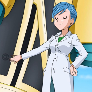 https://static.tvtropes.org/pmwiki/pub/images/dragon_ball_super_049_12_bulma.jpg