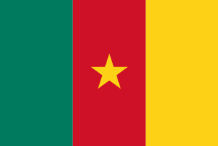 https://static.tvtropes.org/pmwiki/pub/images/flag_of_cameroonsvg.png