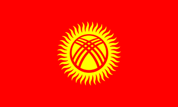 https://static.tvtropes.org/pmwiki/pub/images/flag_of_kyrgyzstan.png