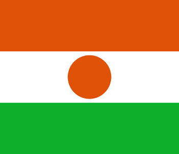 https://static.tvtropes.org/pmwiki/pub/images/flag_of_niger.png