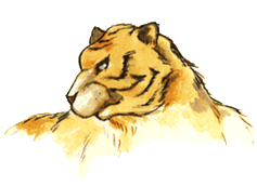 https://static.tvtropes.org/pmwiki/pub/images/fusulu02.gif