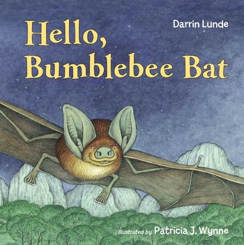 https://static.tvtropes.org/pmwiki/pub/images/hello_bumblebee_bat.jpg