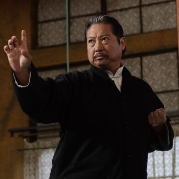 https://static.tvtropes.org/pmwiki/pub/images/ipman2hung.jpg