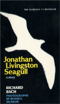 https://static.tvtropes.org/pmwiki/pub/images/johnathan_livingston_seagull_3339.jpg