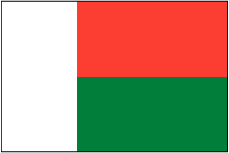 https://static.tvtropes.org/pmwiki/pub/images/madagascar_flag_8889.png